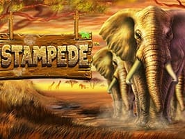 Stampede